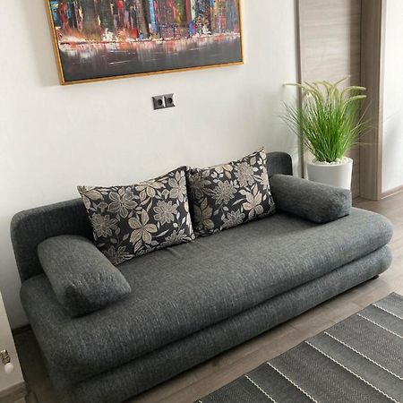 Livi Apartment 1 Satu Mare Eksteriør bilde