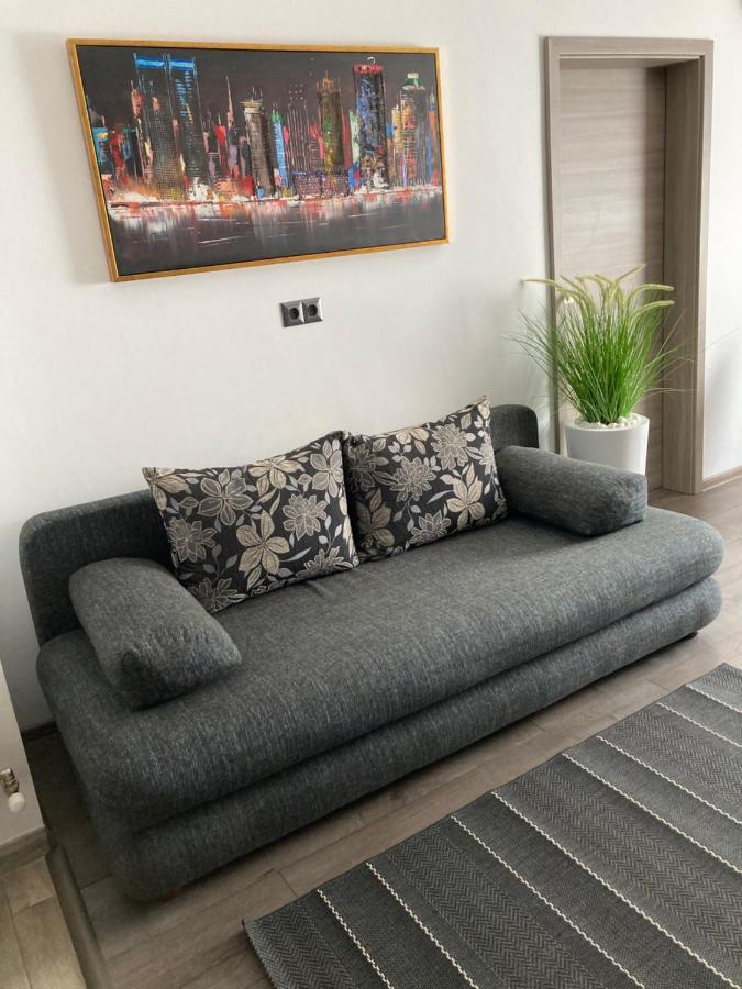 Livi Apartment 1 Satu Mare Eksteriør bilde